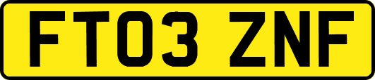FT03ZNF