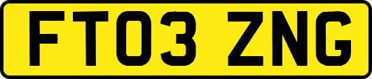 FT03ZNG