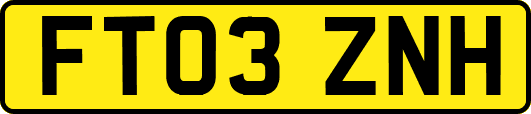FT03ZNH