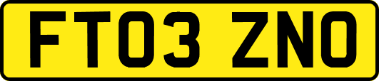FT03ZNO