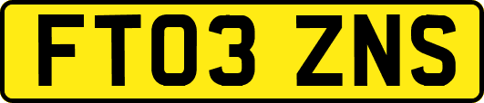 FT03ZNS