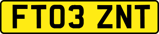 FT03ZNT