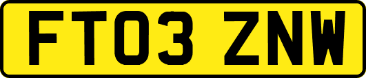 FT03ZNW