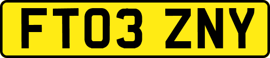 FT03ZNY