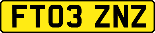 FT03ZNZ