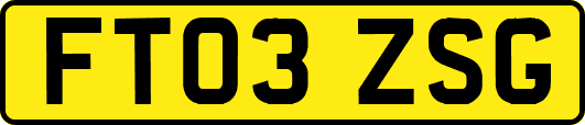 FT03ZSG