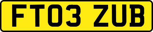 FT03ZUB