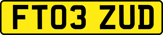FT03ZUD