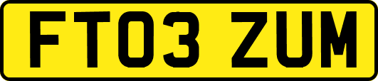 FT03ZUM