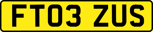 FT03ZUS