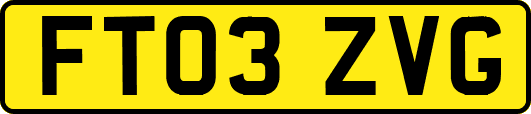 FT03ZVG
