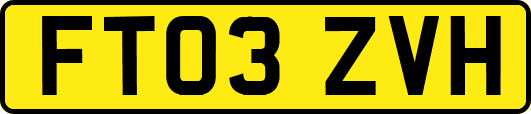 FT03ZVH