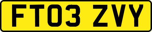 FT03ZVY