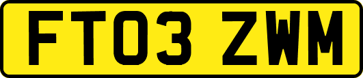 FT03ZWM