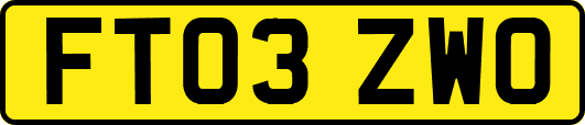 FT03ZWO