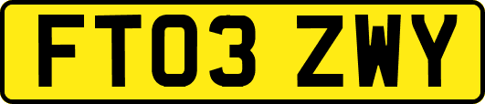 FT03ZWY