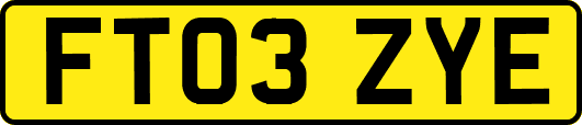FT03ZYE