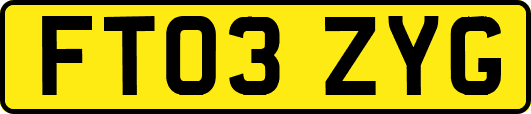 FT03ZYG