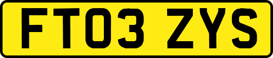 FT03ZYS