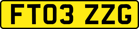 FT03ZZG