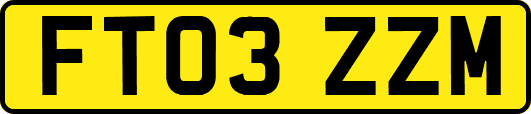 FT03ZZM
