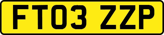 FT03ZZP