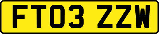 FT03ZZW