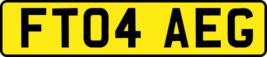 FT04AEG