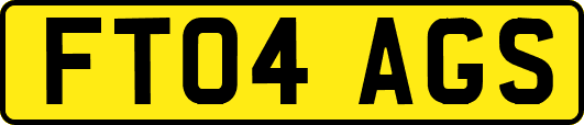 FT04AGS