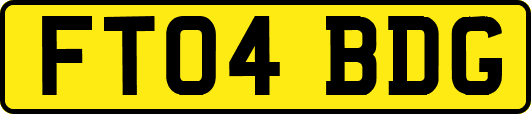 FT04BDG