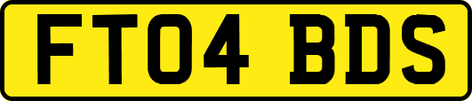 FT04BDS