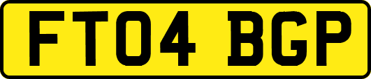 FT04BGP
