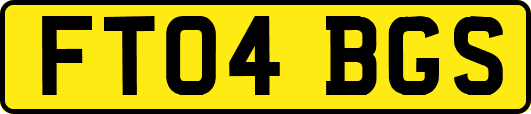 FT04BGS