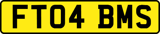 FT04BMS