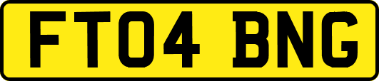 FT04BNG