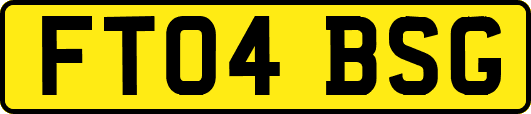 FT04BSG