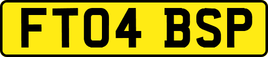 FT04BSP