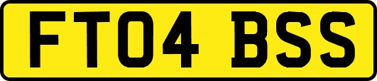 FT04BSS