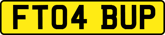 FT04BUP