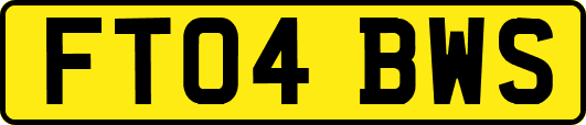 FT04BWS