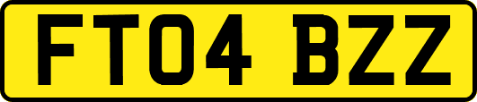 FT04BZZ