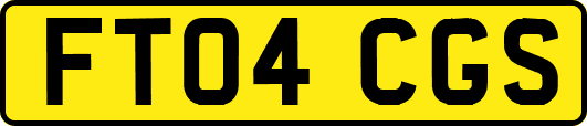 FT04CGS