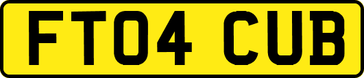 FT04CUB