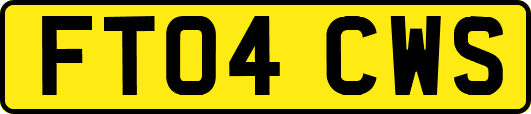 FT04CWS
