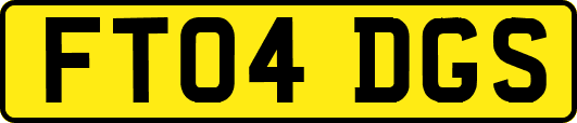 FT04DGS