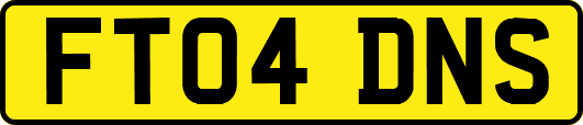 FT04DNS