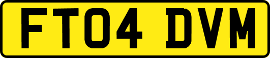 FT04DVM