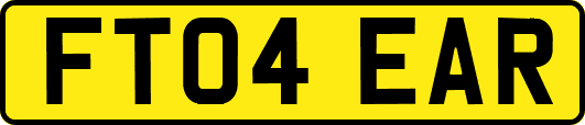 FT04EAR