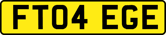 FT04EGE