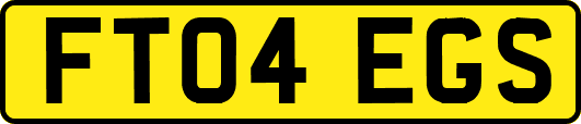 FT04EGS